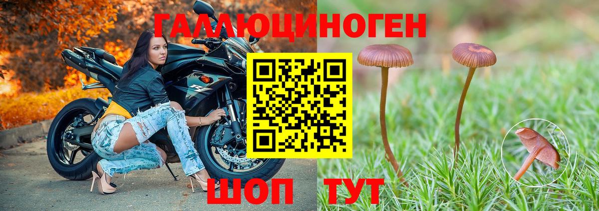 Галлюциногенные грибы прущие грибы Кушва