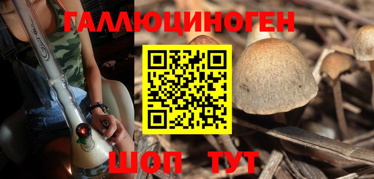 Псилоцибиновые грибы прущие грибы  Псилоцибиновые грибы мухоморы  Вход с VPN  Кушва 